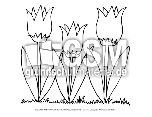 Ausmalbild-Tulpen-5.pdf